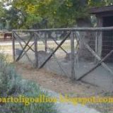 Ζωολογικός κήπος Ασπροβάλτας 2011