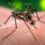 Πρόγραμμα καταπολέμησης κουνουπιών στον δήμο Βόλβης